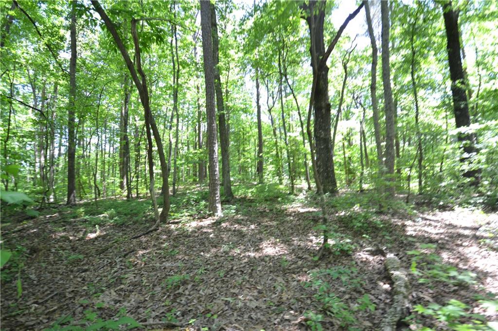 5960 Highway 120 Buchanan, GA 30113 - Photo 33 of 40 a view of outdoor space and trees