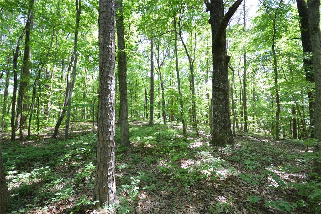 5960 Highway 120 Buchanan, GA 30113 - Photo 34 of 40 a big yard with lots of trees