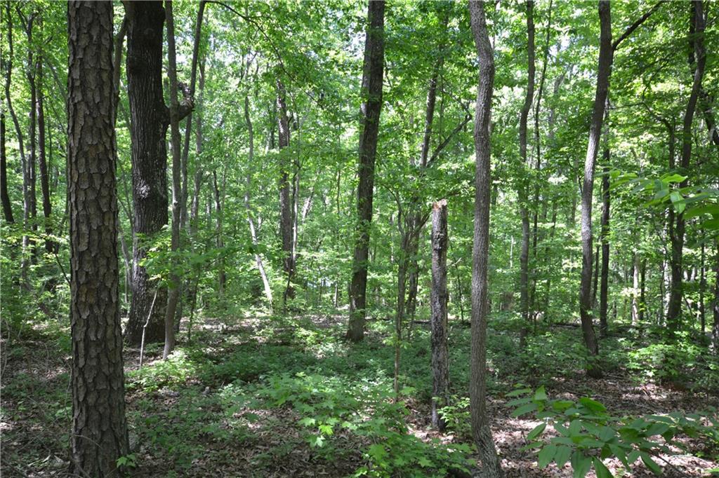 5960 Highway 120 Buchanan, GA 30113 - Photo 36 of 40 a view of outdoor space and green space