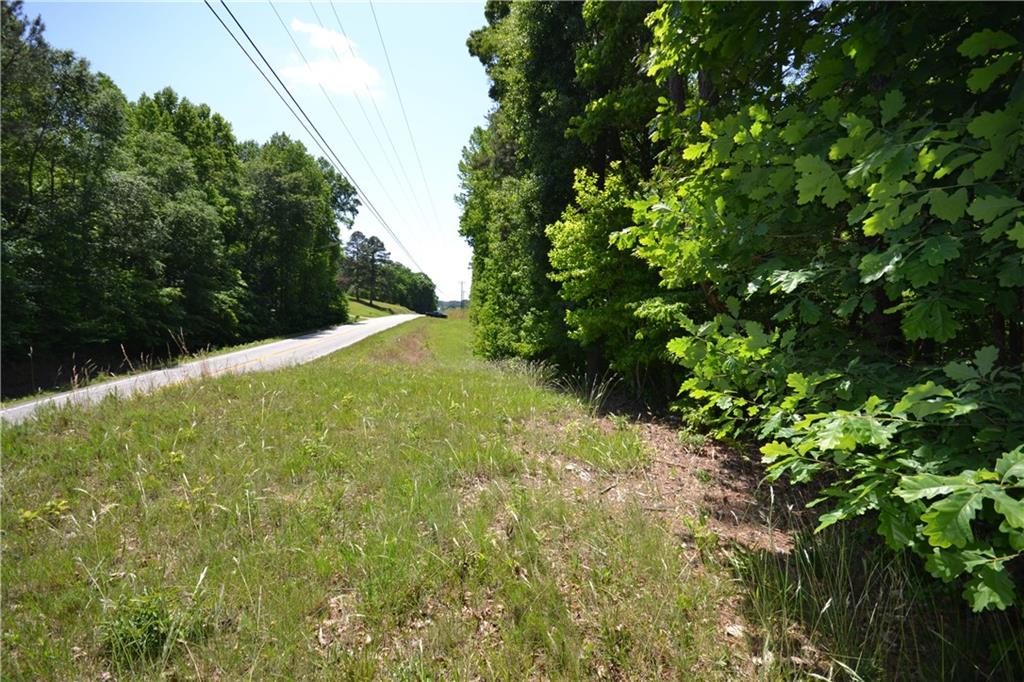 5960 Highway 120 Buchanan, GA 30113 - Photo 38 of 40 a view of yard with green space