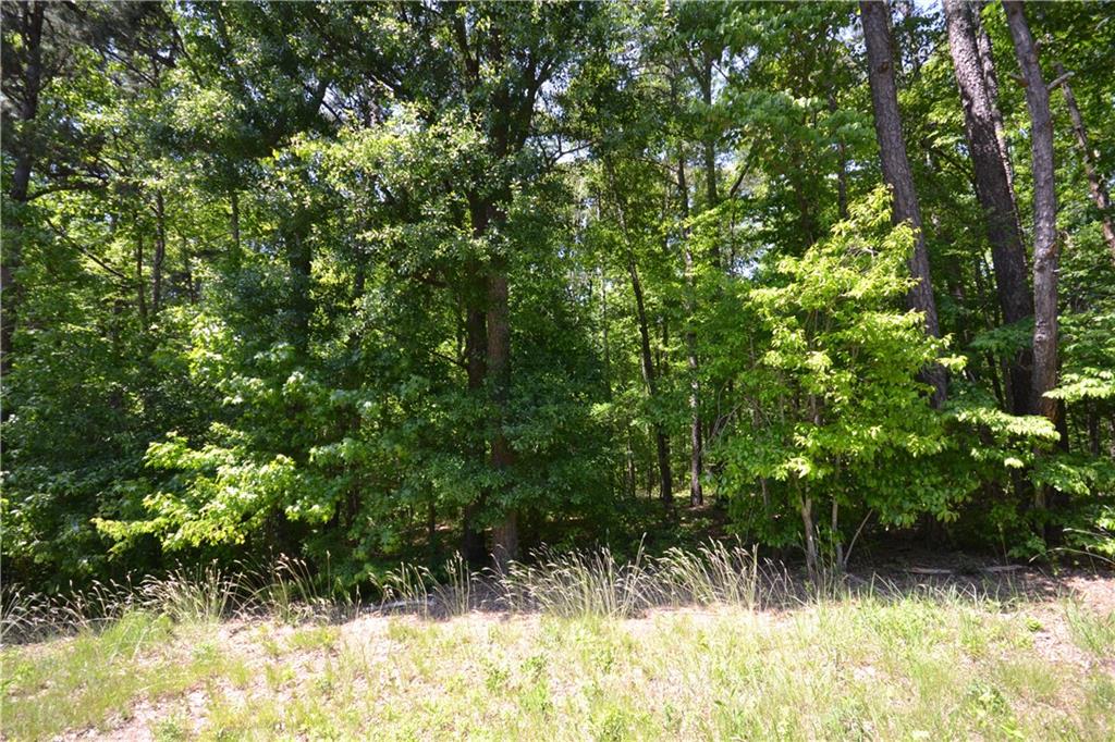 5960 Highway 120 Buchanan, GA 30113 - Photo 39 of 40 a view of outdoor space and a yard