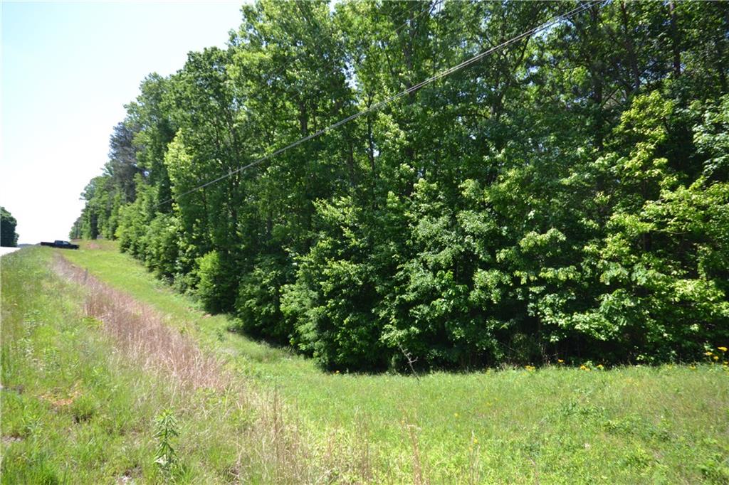 5960 Highway 120 Buchanan, GA 30113 - Photo 40 of 40 a view of yard with green space