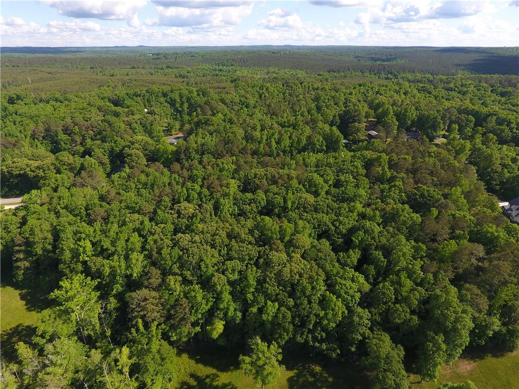 5960 Highway 120 Buchanan, GA 30113 - Photo 4 of 40 a view of a green field with lots of bushes