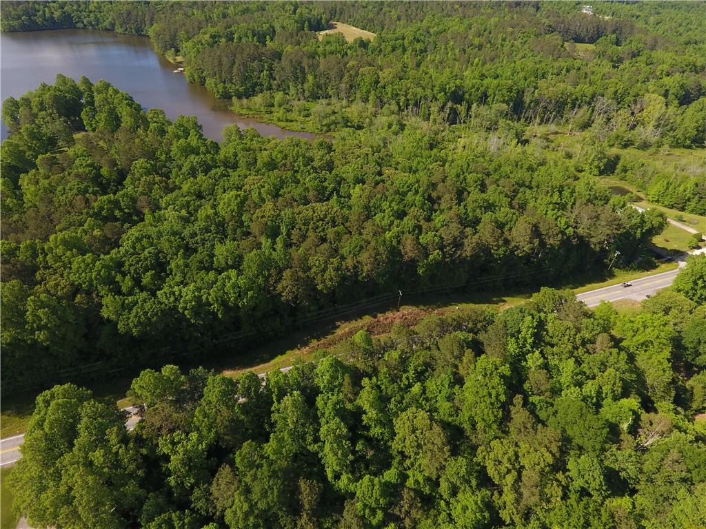 5960 Highway 120 Buchanan, GA 30113 - Photo 7 of 40 a view of a garden