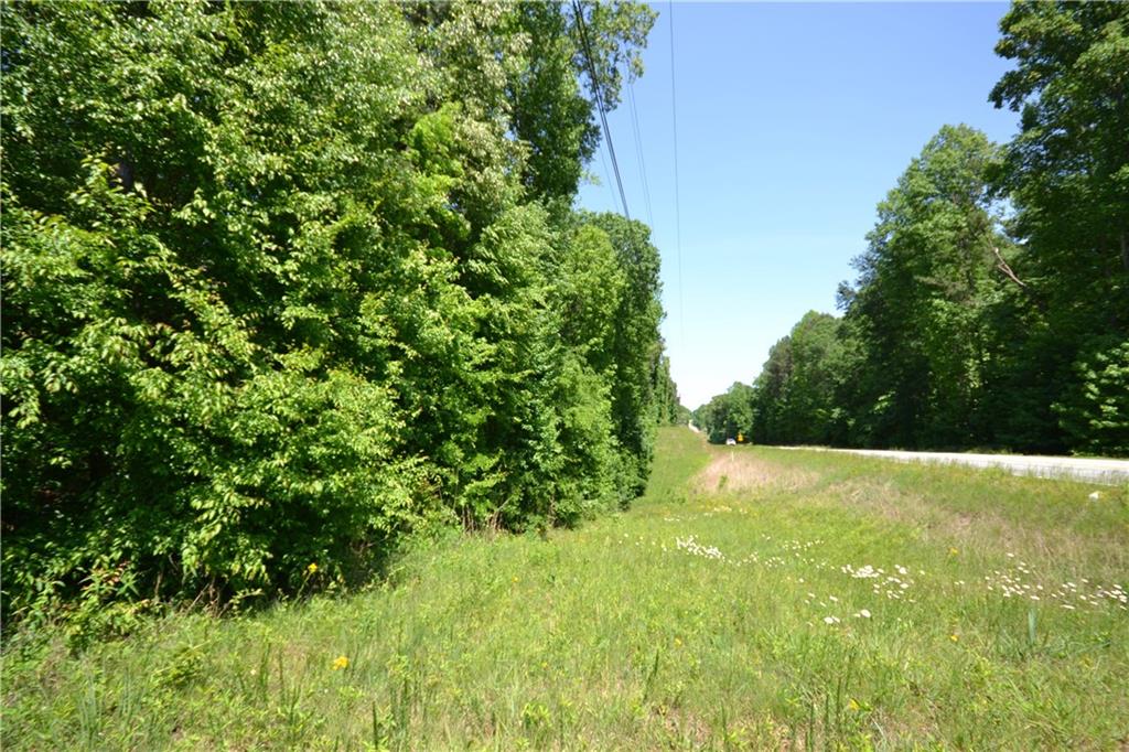 5960 Highway 120 Buchanan, GA 30113 - Photo 10 of 40 a view of a yard with a tree
