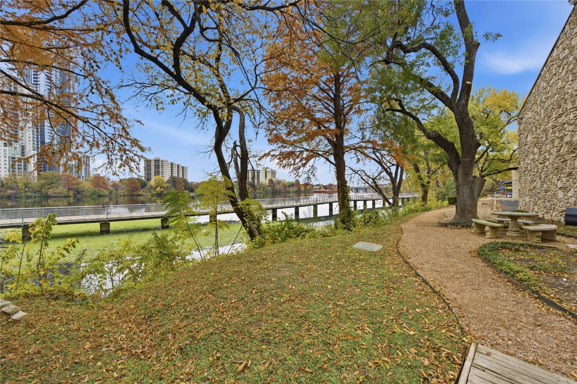 500 East Riverside Drive, Unit 133 Austin, TX 78704 - Photo 26 of 38 a view of yard with tree