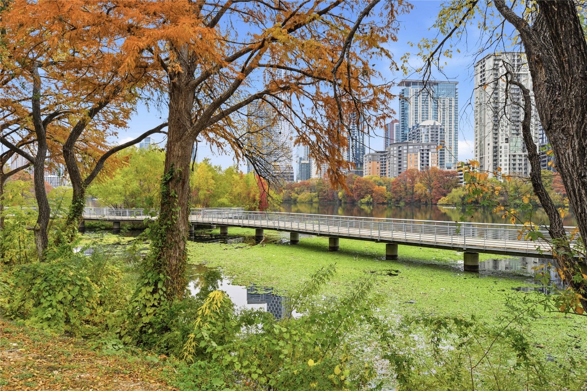 500 East Riverside Drive, Unit 133 Austin, TX 78704 - Photo 27 of 38 a view of yard with swimming pool and trees