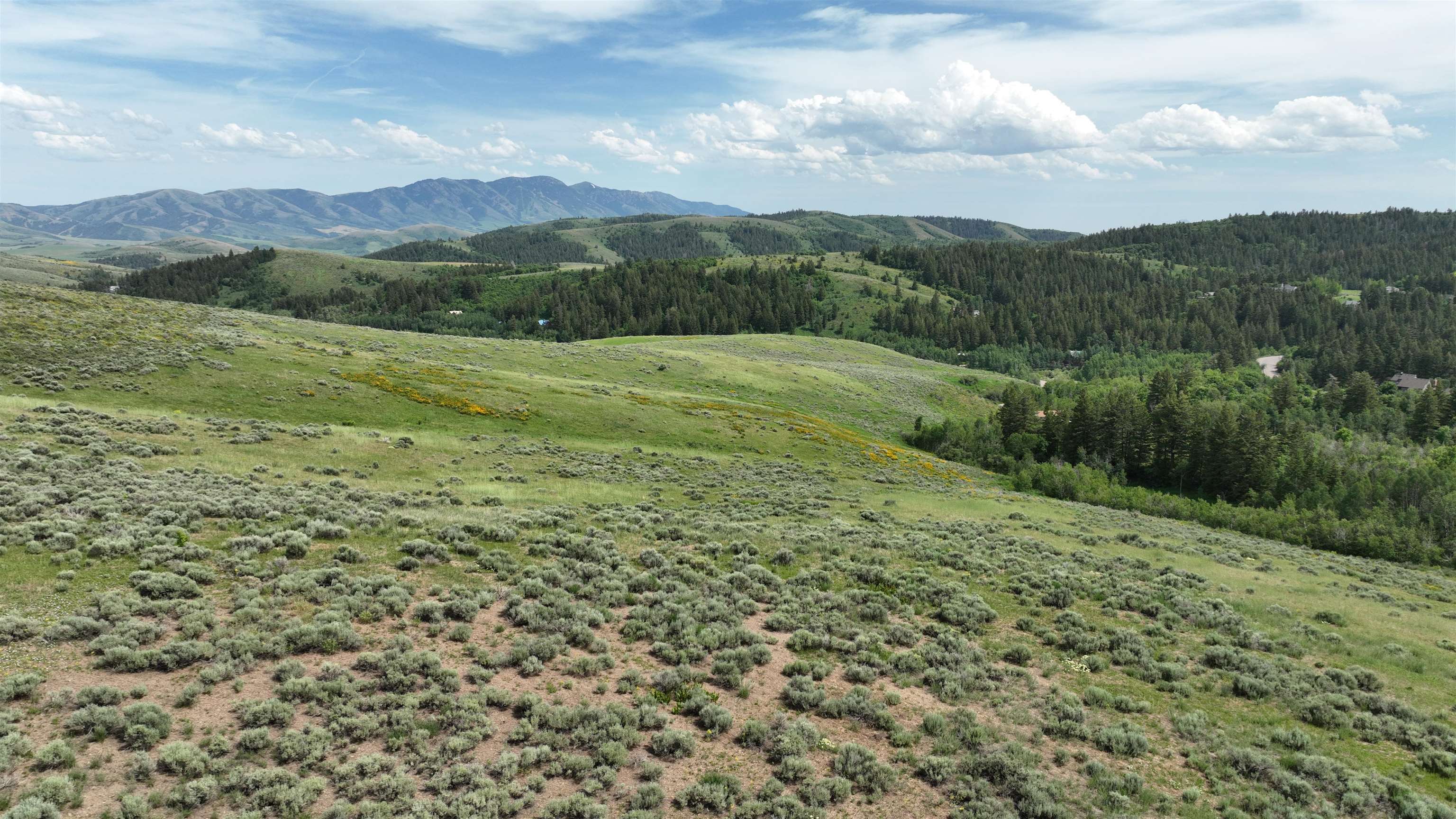 West Buckskin Road Pocatello, ID 83201 - Photo 16 of 41 Gallery Image 16