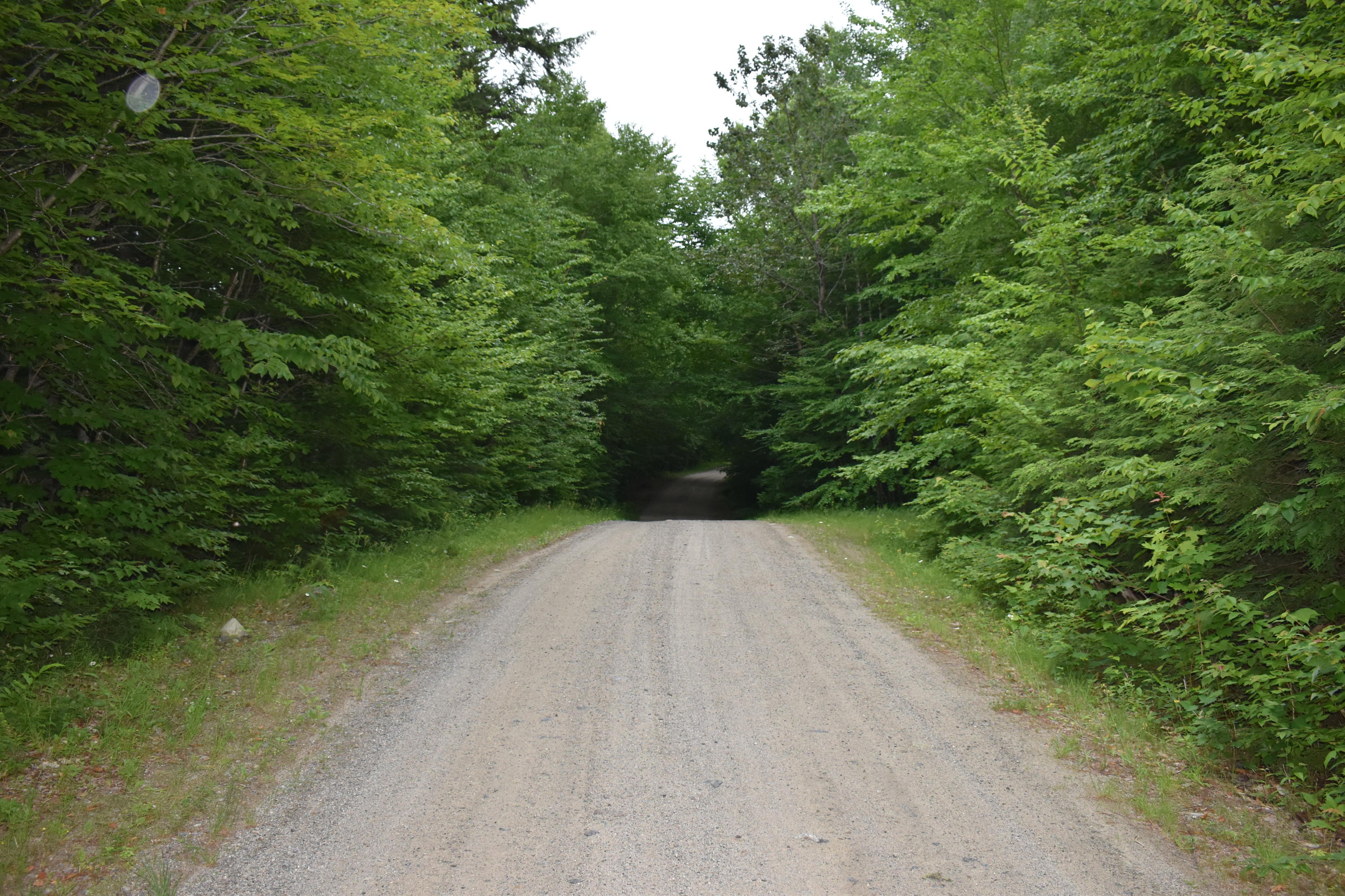 3 Map Road Lakeville, ME 04487 - Photo 5 of 20 DSC_0228