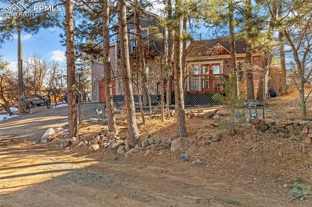 a view of a town with large trees