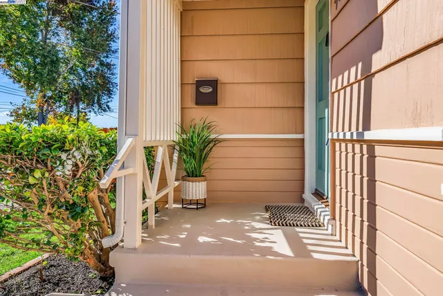 a potted plant sitting in front of a door