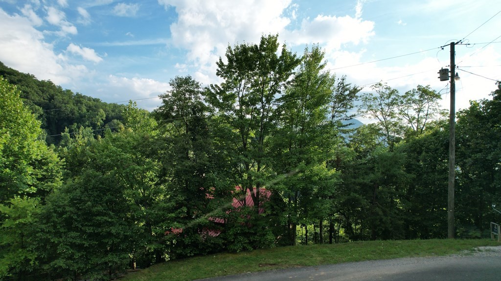 0 Trapper John Way Sevierville, TN 37862 - Photo 14 of 18