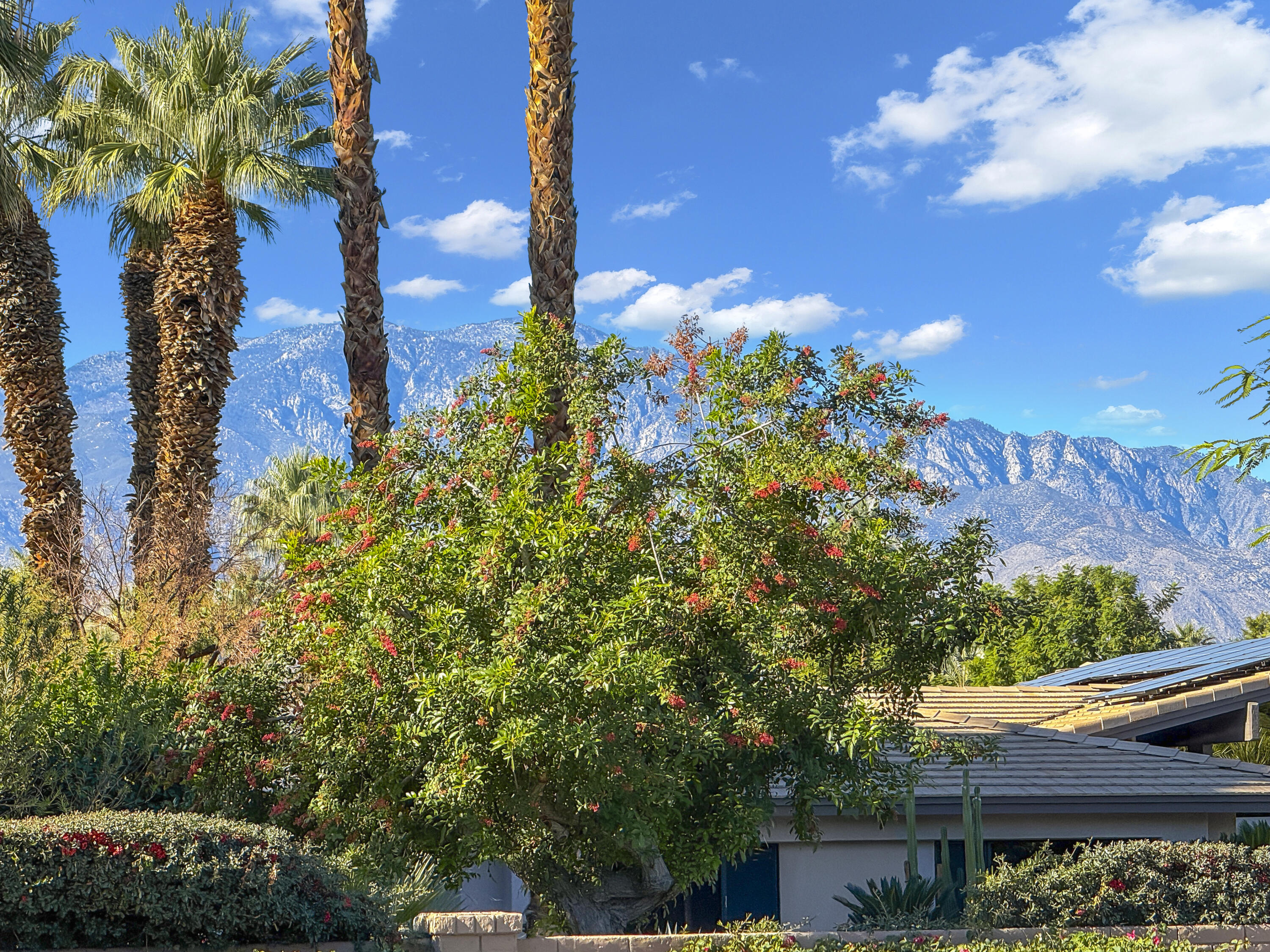 16 Haig Drive Rancho Mirage, CA 92270 - Photo 31 of 35 MOUNTAIN VIEWS