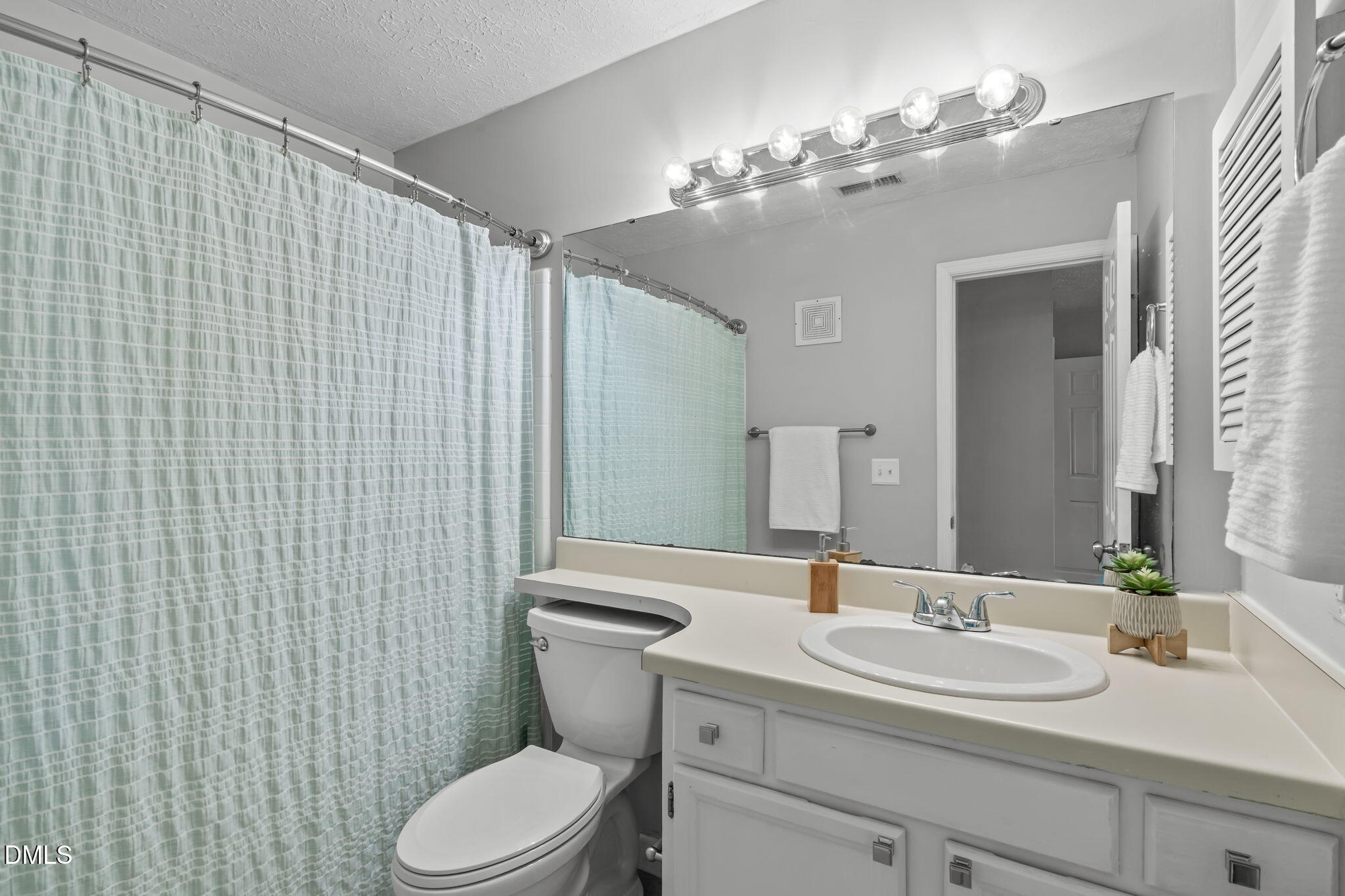 203 Oak Hollow Court Raleigh, NC 27613 - Photo 23 of 37 a bathroom with a sink a toilet and mirror