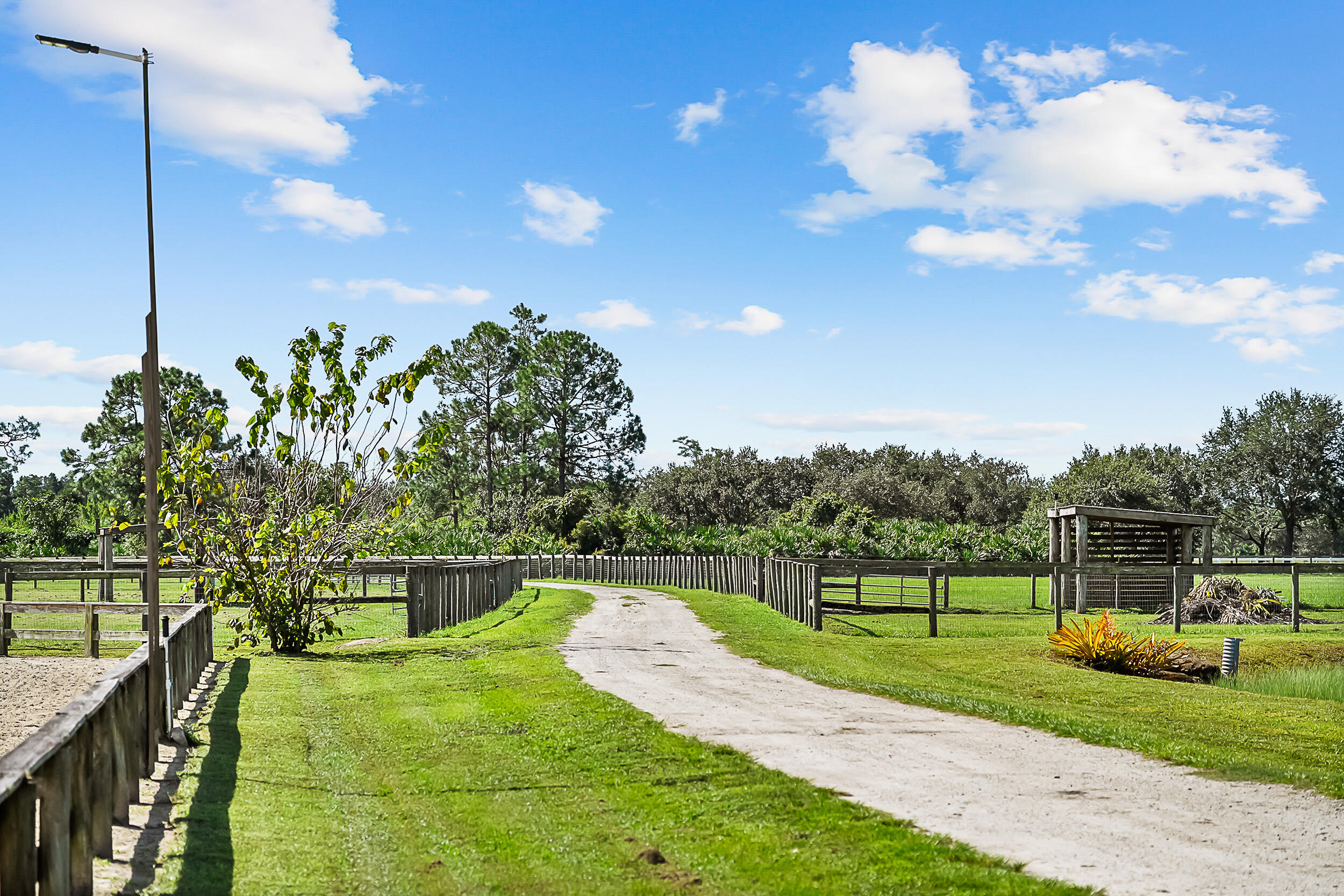 2986 Southwest Trailside Path Stuart, FL 34997 - Photo 29 of 40 a view of a golf course with a lake view