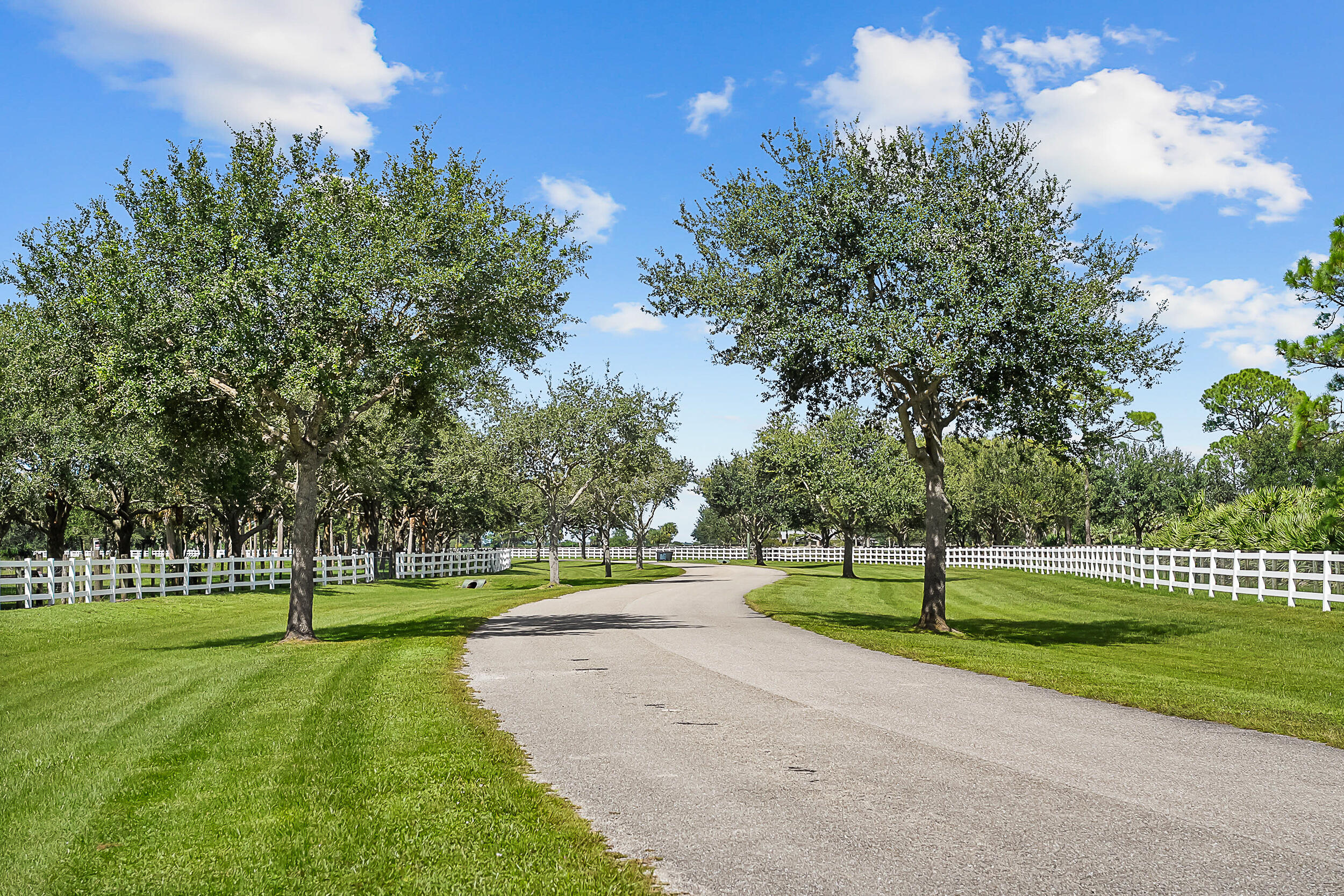 2986 Southwest Trailside Path Stuart, FL 34997 - Photo 36 of 40 a view of a park with tree s