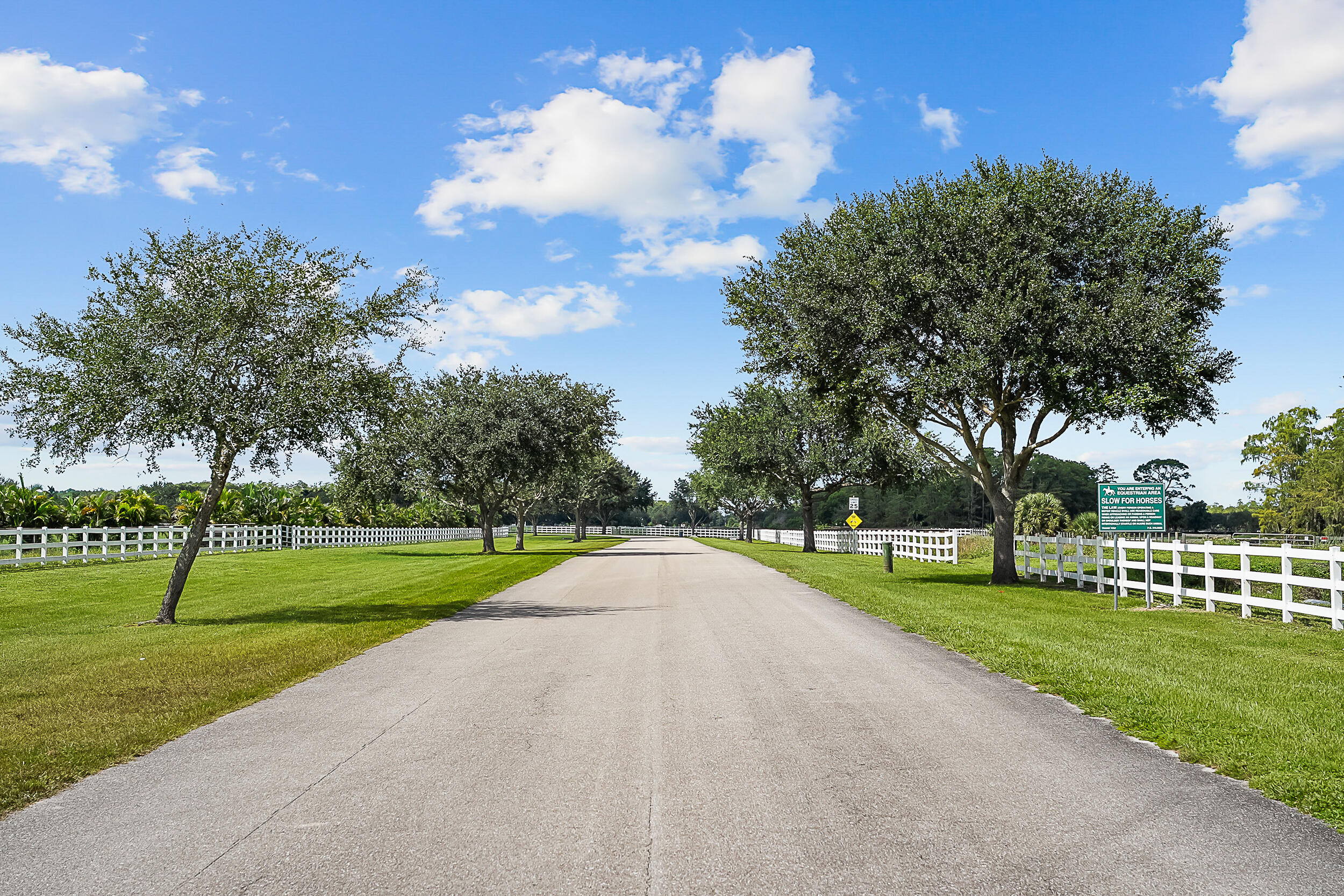 2986 Southwest Trailside Path Stuart, FL 34997 - Photo 38 of 40 a view of a park with large trees and cars park