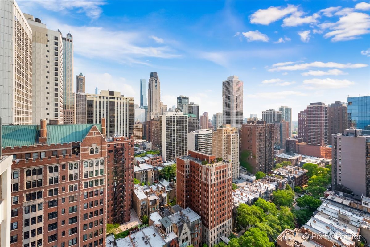 1150 North Lake Shore Drive, Unit 19A Chicago, IL 60611 - Photo 23 of 34 a city view with tall buildings
