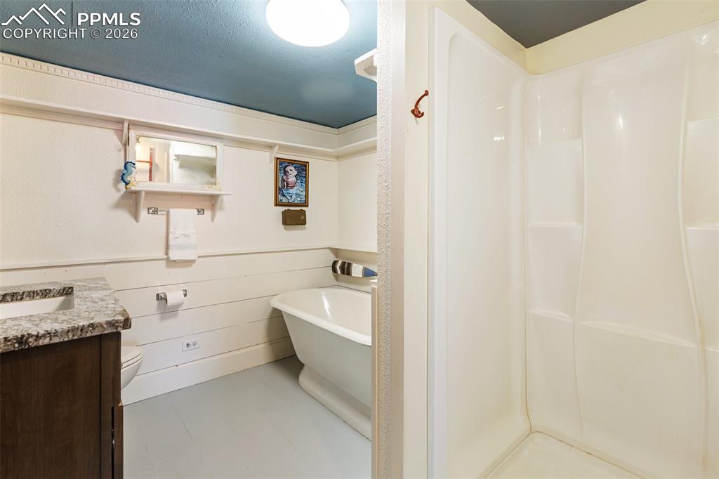 123 7th Street Victor, CO 80860 - Photo 31 of 44 a bathroom with a bathtub sink and mirror