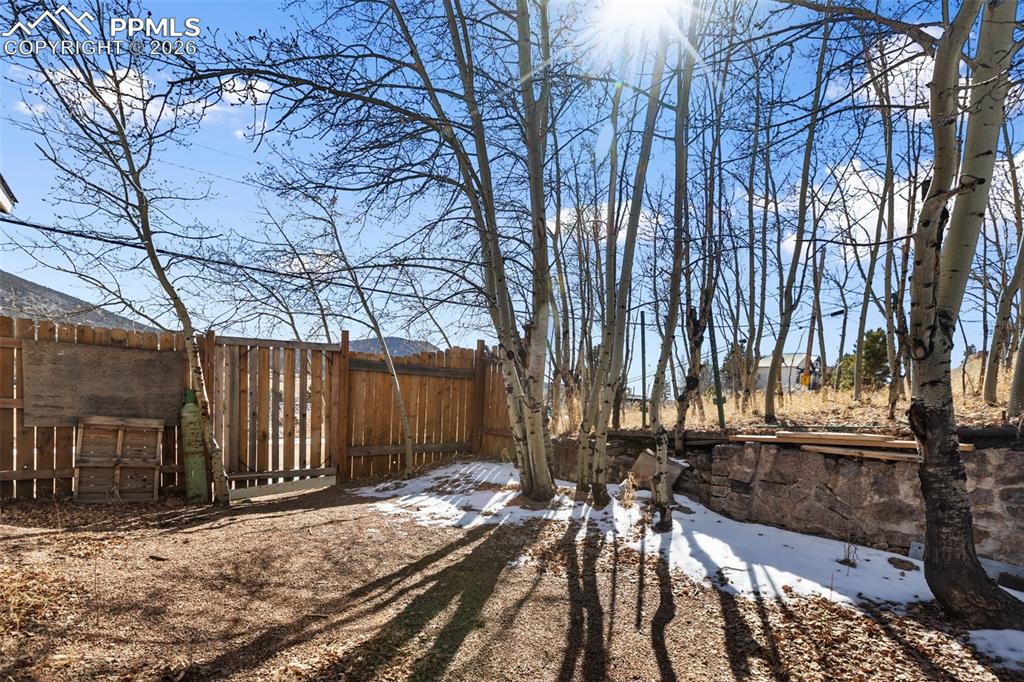 123 7th Street Victor, CO 80860 - Photo 36 of 44 a view of a backyard of the house