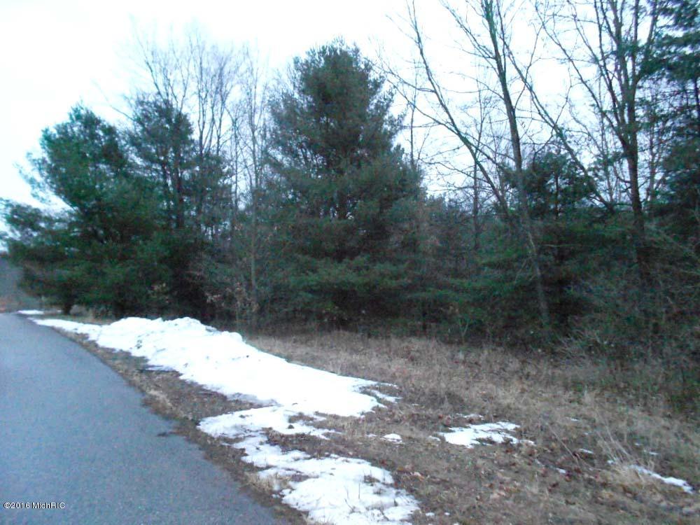 13504 Hill Country Road Lowell, MI 49331 - Photo 1 of 3 lot 4 009 a copy