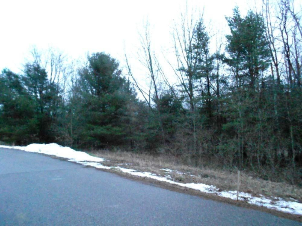 13504 Hill Country Road Lowell, MI 49331 - Photo 3 of 3 lot 4 006 b