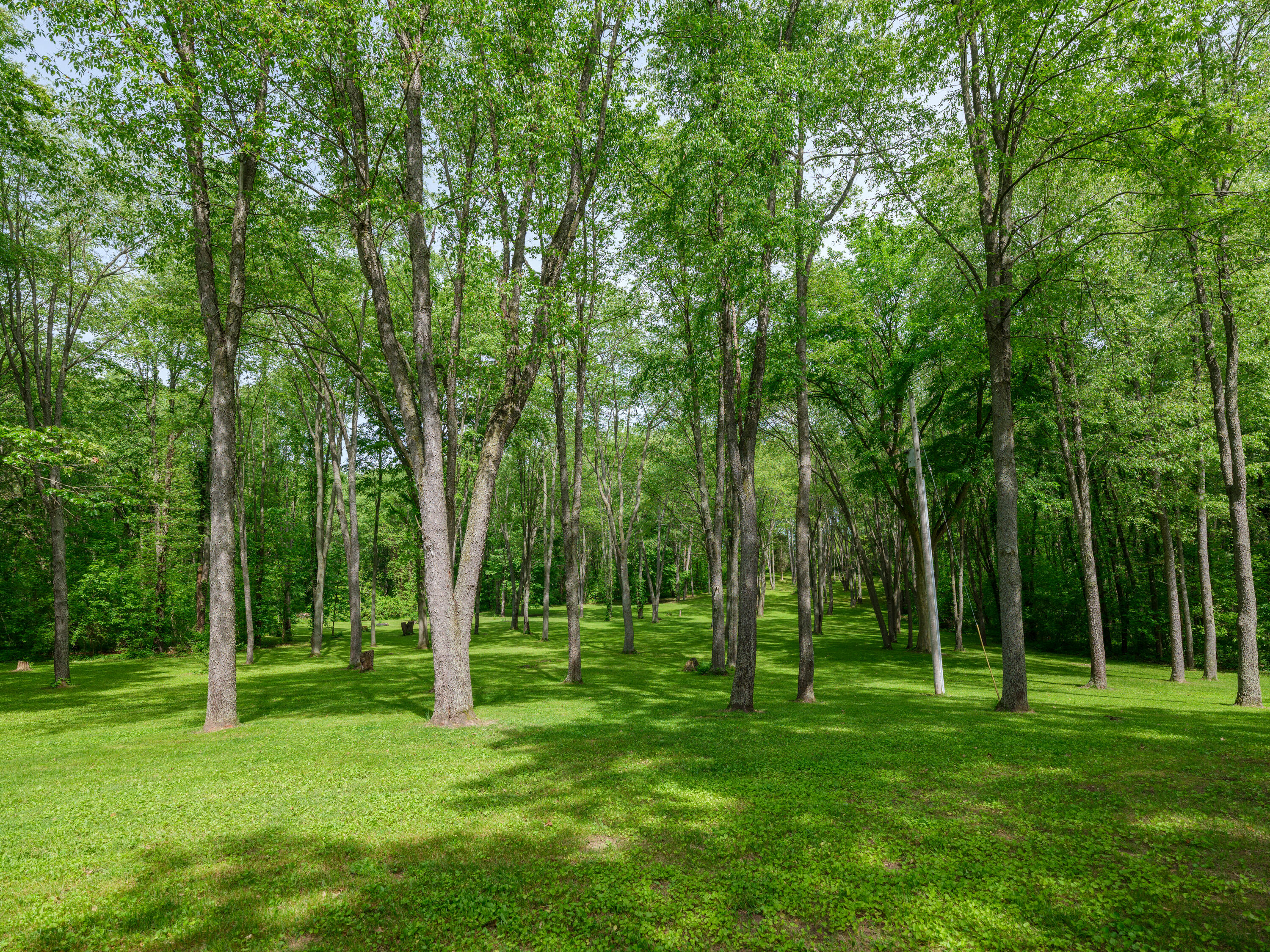 4521 Waldorf Road Delton, MI 49046 - Photo 13 of 31 4521 Wadorf Rd-113