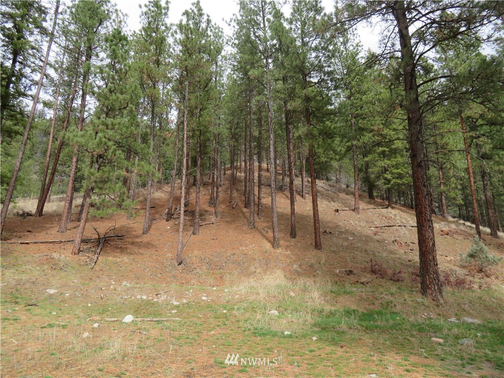 576 Customs Road Curlew, WA 99118 - Photo 22 of 23 Gallery Image 22