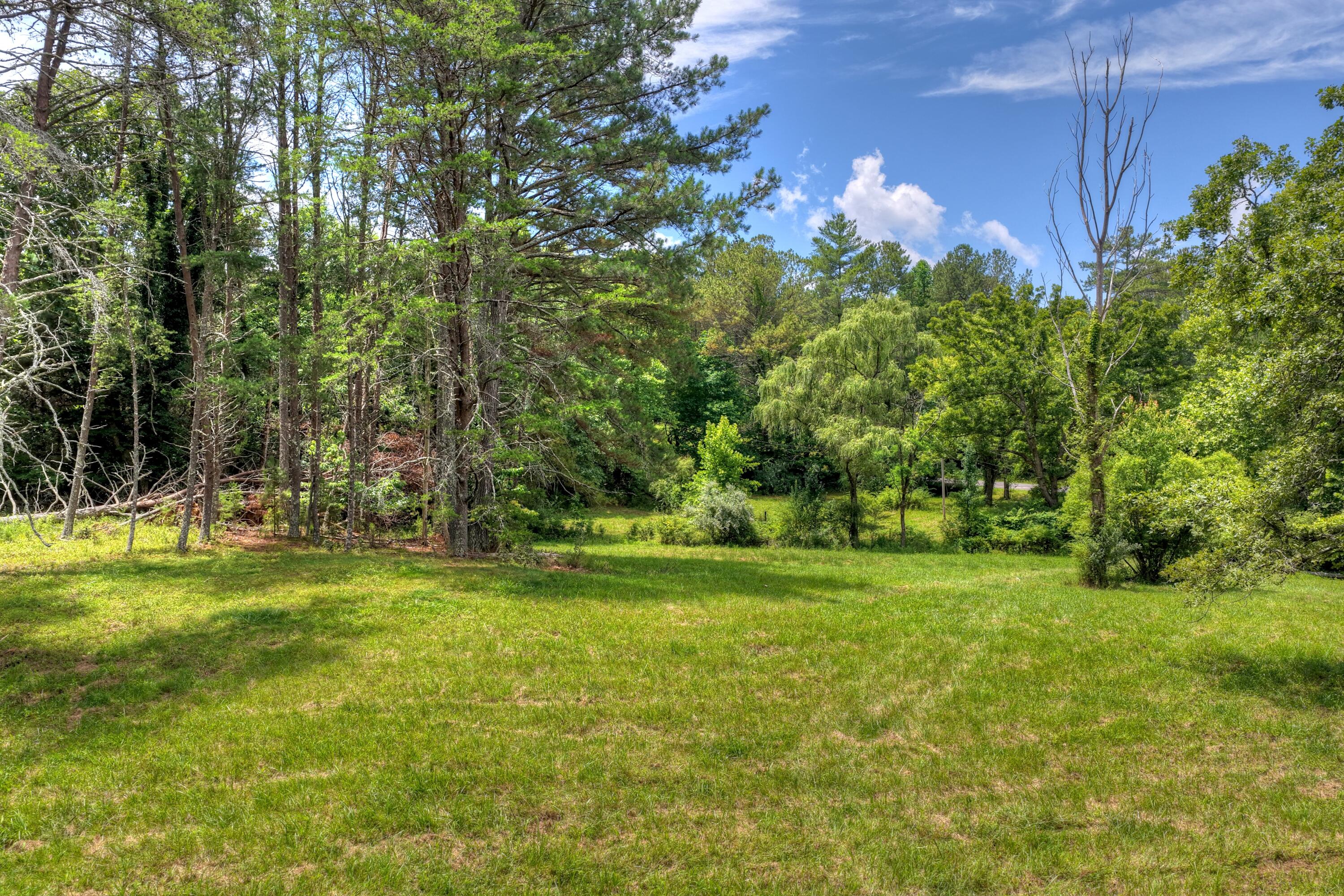 526 Airport Road Copperhill, TN 37317 - Photo 22 of 28 Airport Rd Byrd Property (21)