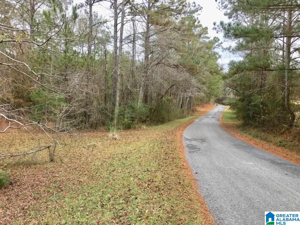 3972 Ccc Road Rockford, AL 35136 - Photo 13 of 15