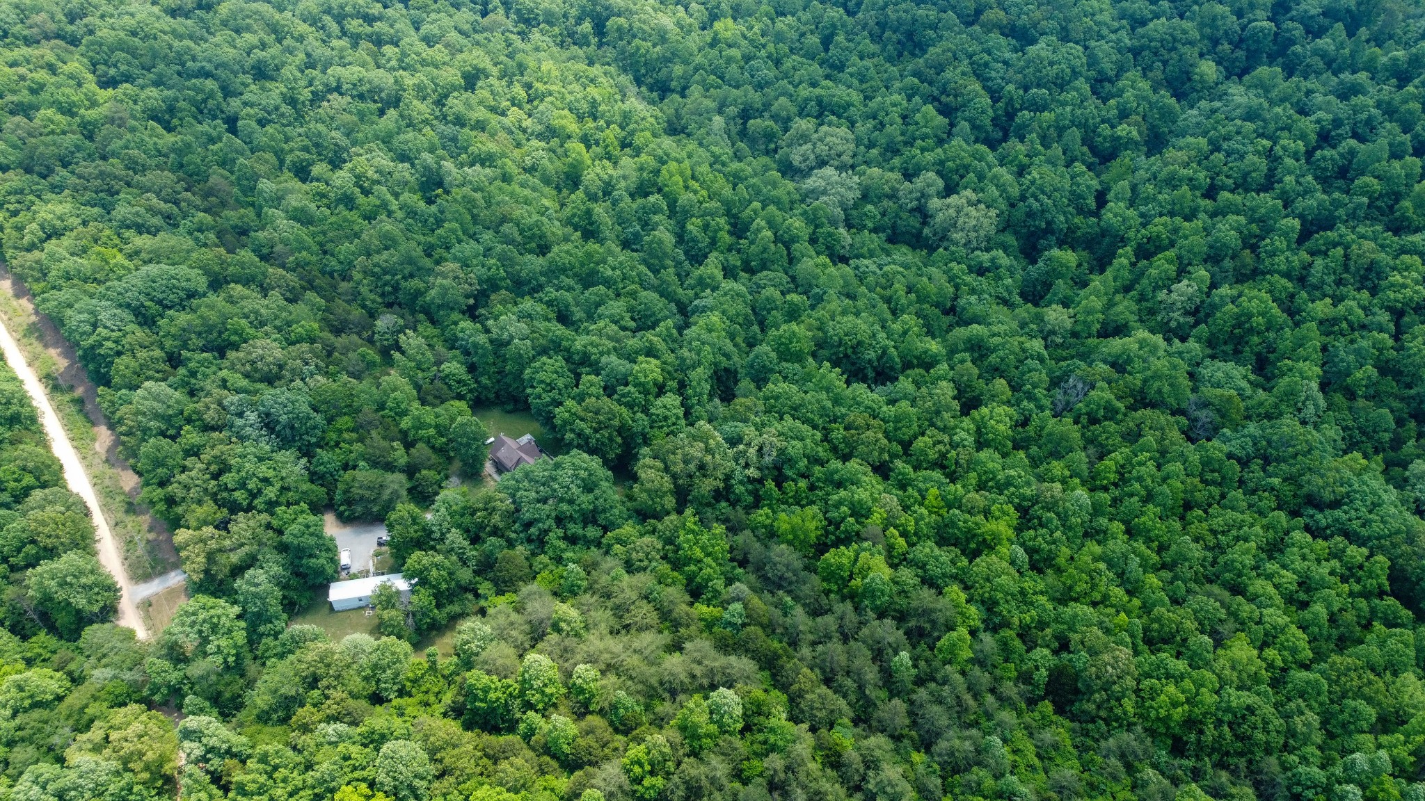 0 Greer Road Lyles, TN 37098 - Photo 14 of 16 a view of a lush green forest