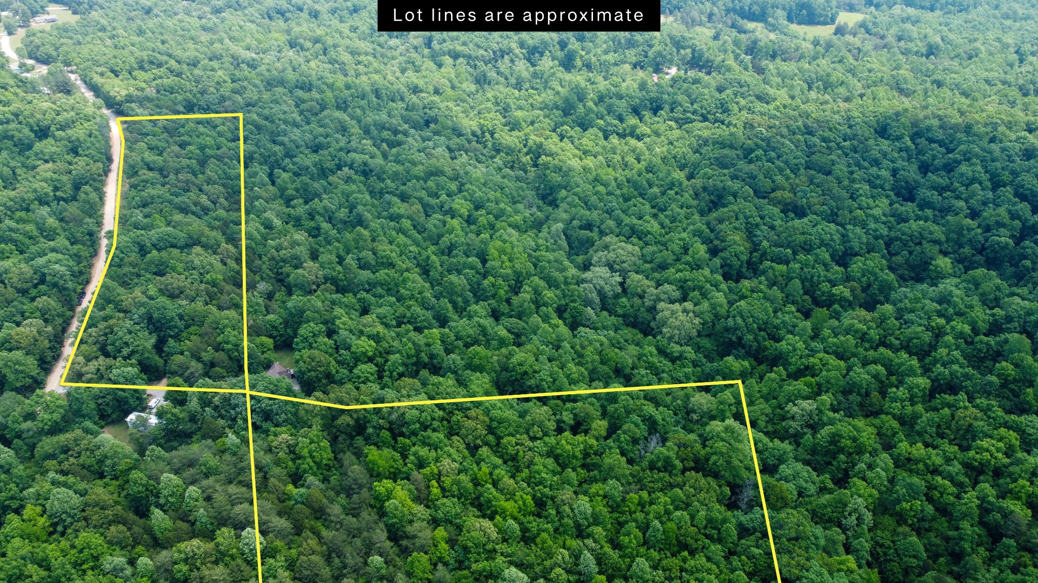 0 Greer Road Lyles, TN 37098 - Photo 15 of 16 a view of a forest