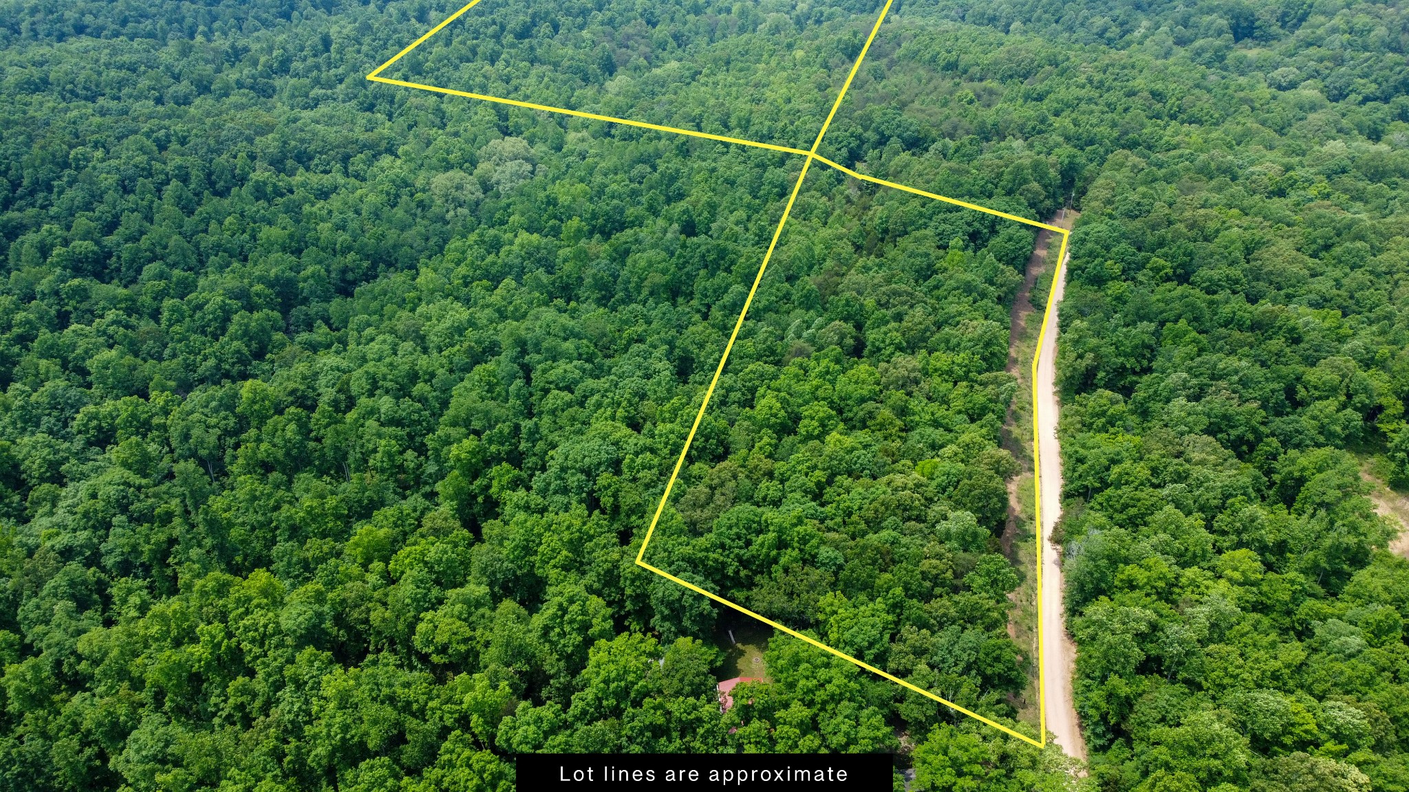 0 Greer Road Lyles, TN 37098 - Photo 2 of 16 a view of a lush green forest