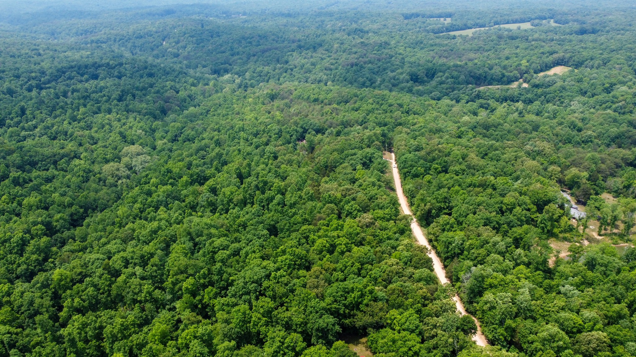 0 Greer Road Lyles, TN 37098 - Photo 4 of 16 a view of a yard with a plant