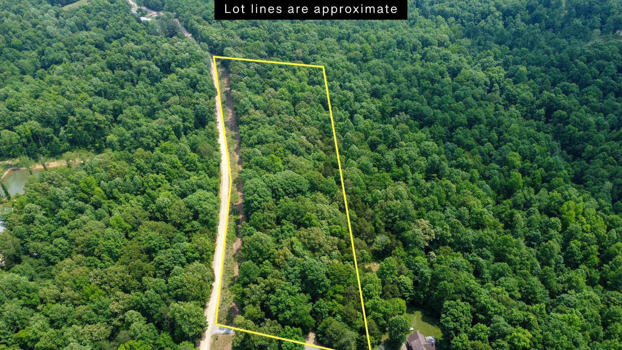 0 Greer Road Lyles, TN 37098 - Photo 5 of 16 a view of a forest