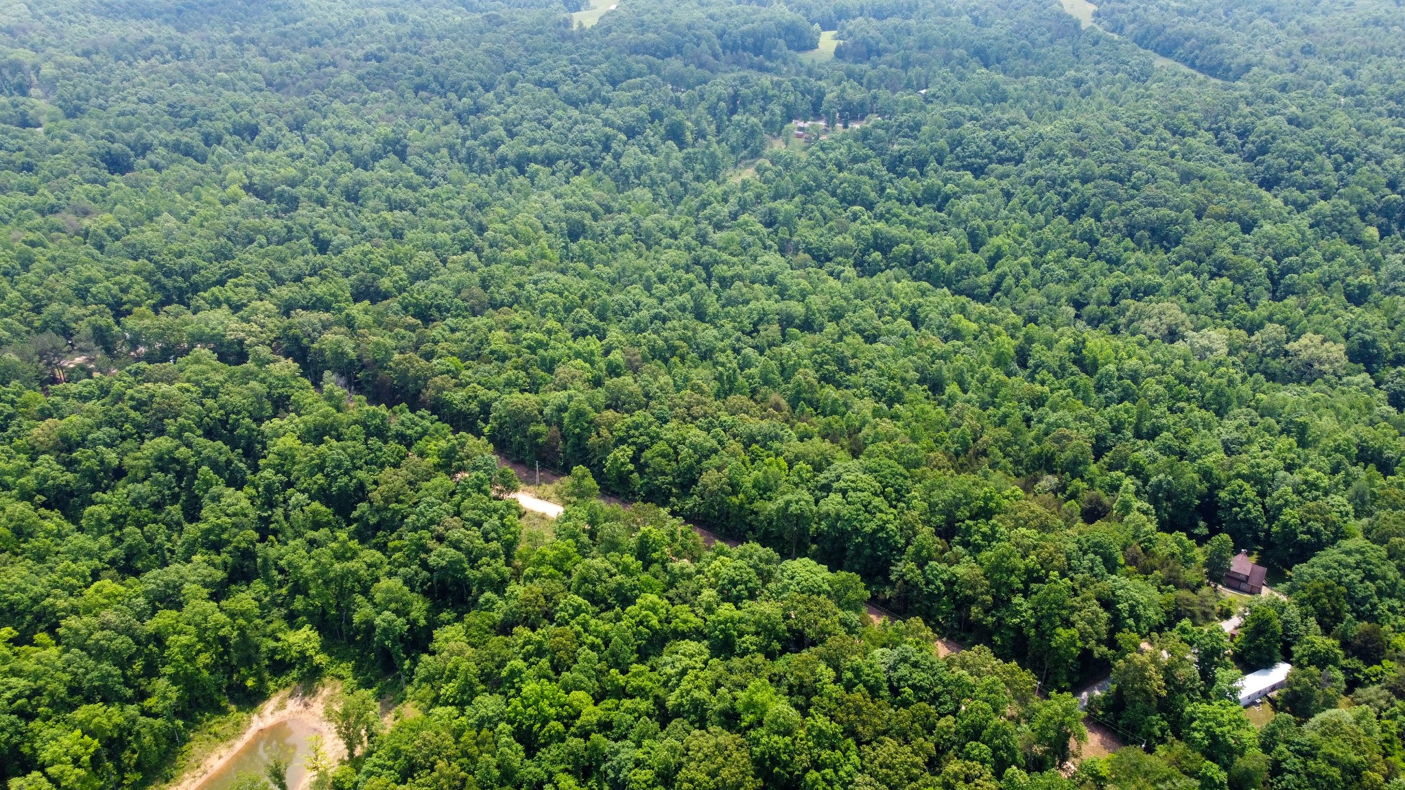 0 Greer Road Lyles, TN 37098 - Photo 7 of 16 a view of a lush green forest
