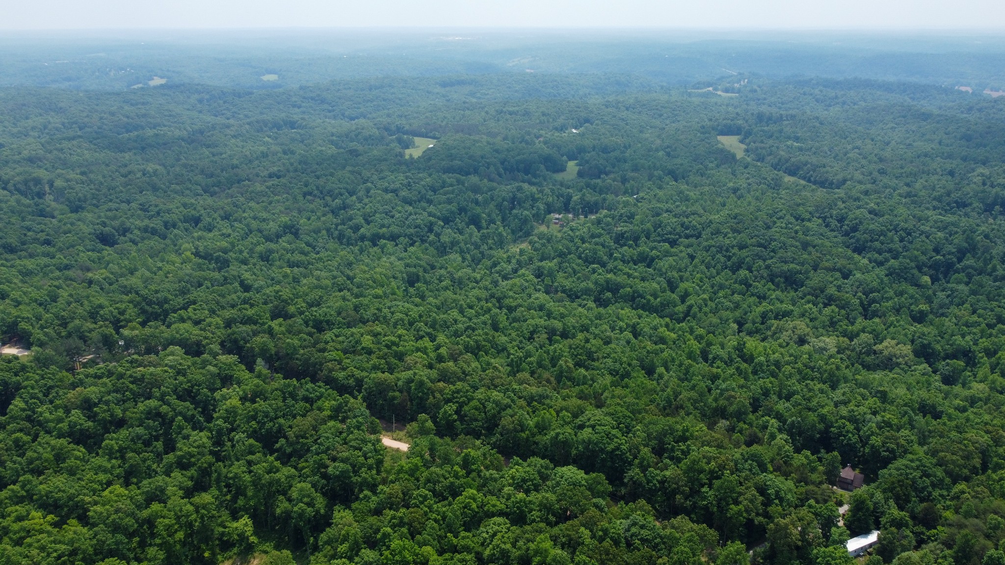0 Greer Road Lyles, TN 37098 - Photo 8 of 16 a view of a big yard