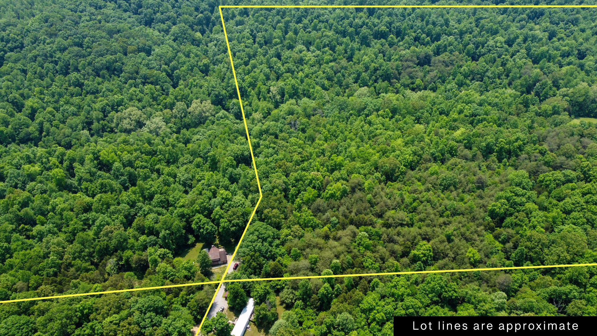 0 Greer Road Lyles, TN 37098 - Photo 9 of 16 a view of a field