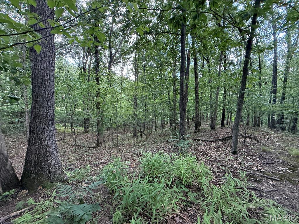 1133 Union School Road Ava, IL 62907 - Photo 28 of 46