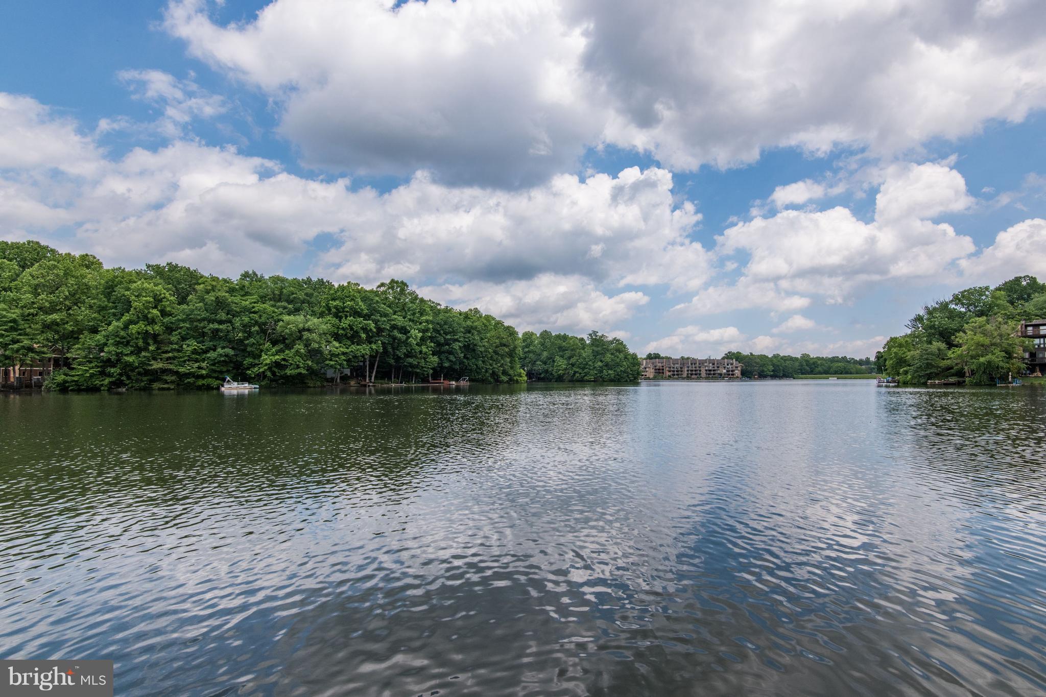 2007 Chadds Ford Drive Reston, VA 20191 - Photo 30 of 30 Serenity of Lake Thoreau