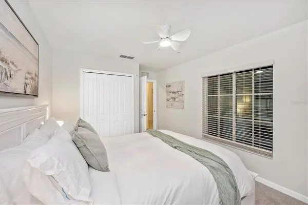 a view of a park with large trees