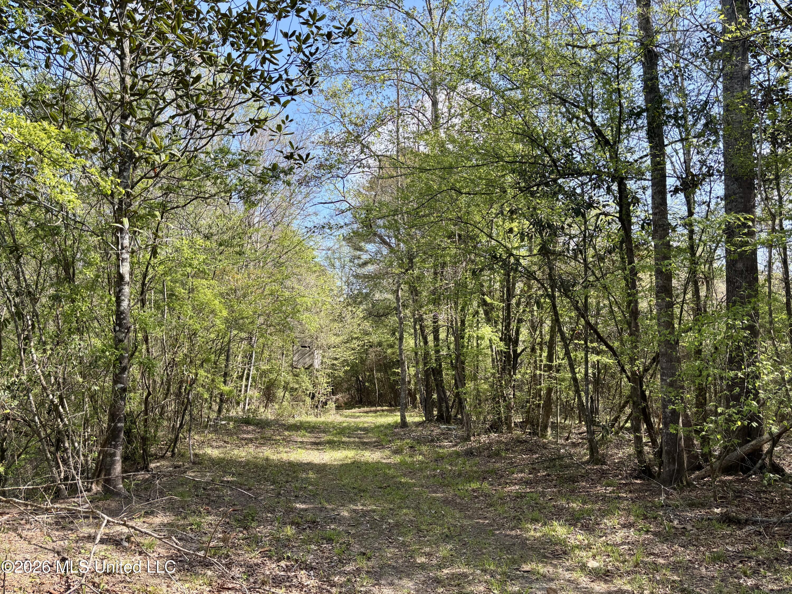 50 Oakdale Church Road Seminary, MS 39479 - Photo 59 of 65 IMG_4014