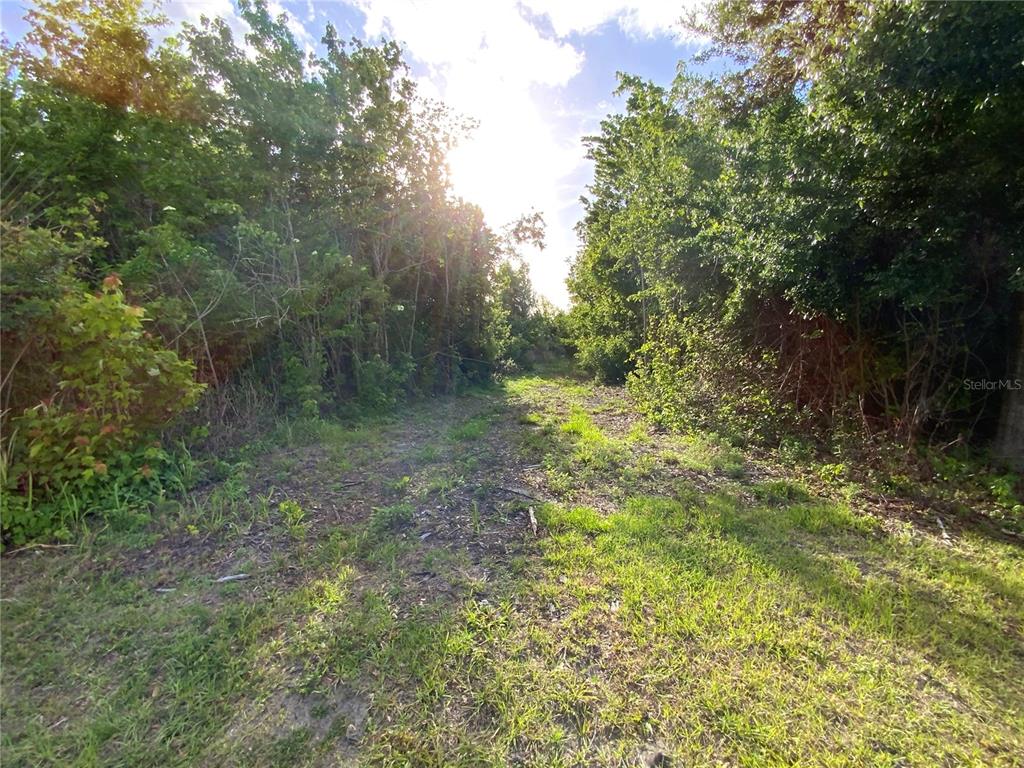 692 Howard Road Auburndale, FL 33823 - Photo 47 of 59