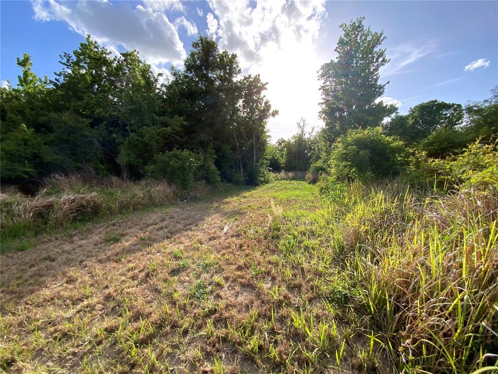 692 Howard Road Auburndale, FL 33823 - Photo 48 of 59