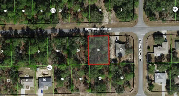 $25,000 | 686 West Hummingbird Drive, Citrus Springs, FL 34434