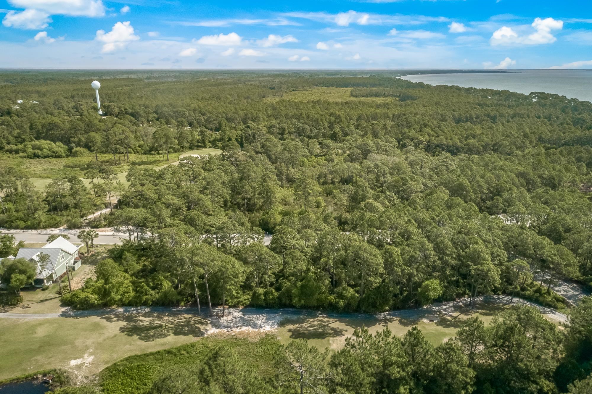 207 Royal Tern Way Carrabelle, FL 32322 - Photo 5 of 10