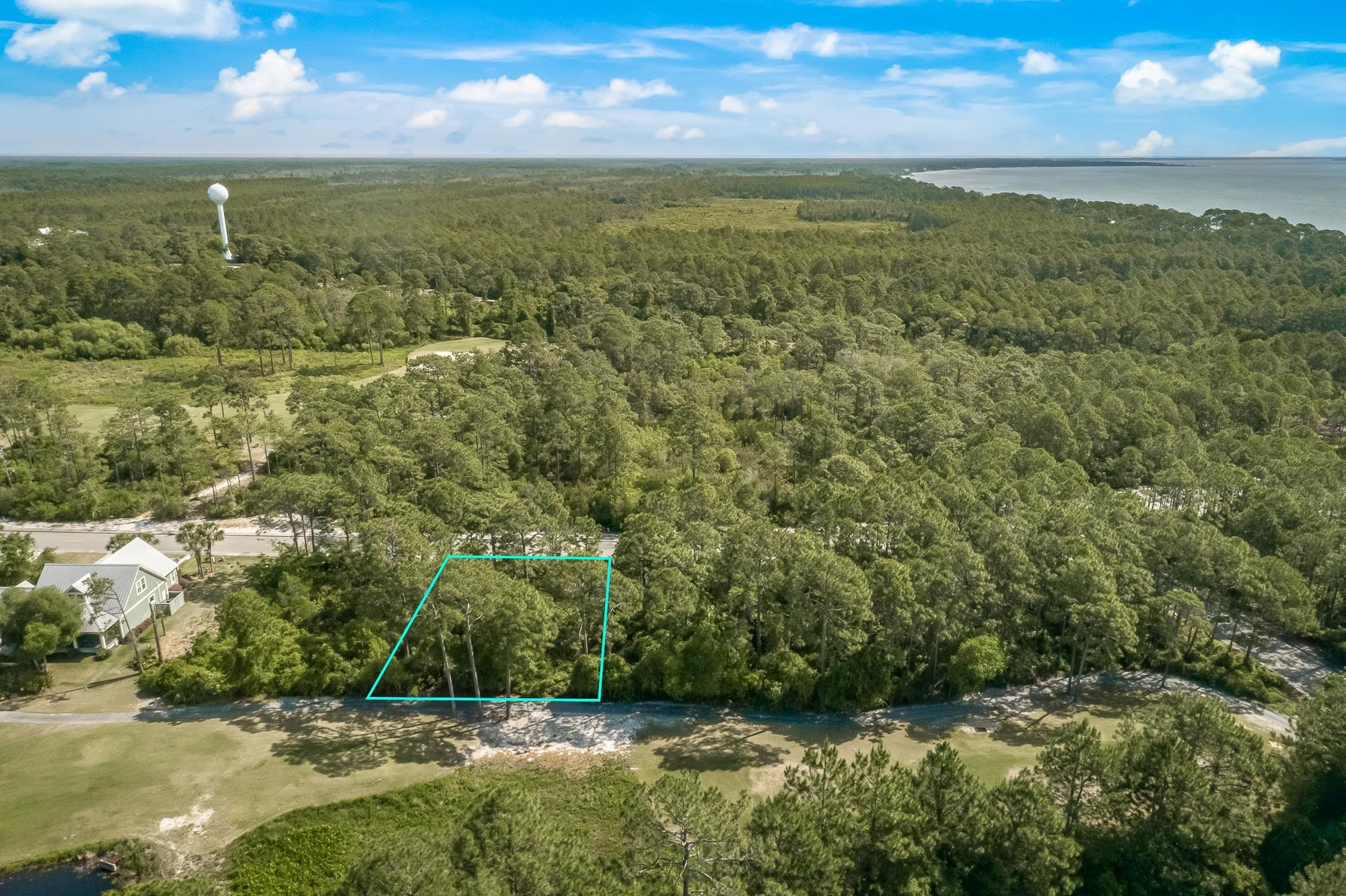 207 Royal Tern Way Carrabelle, FL 32322 - Photo 6 of 10