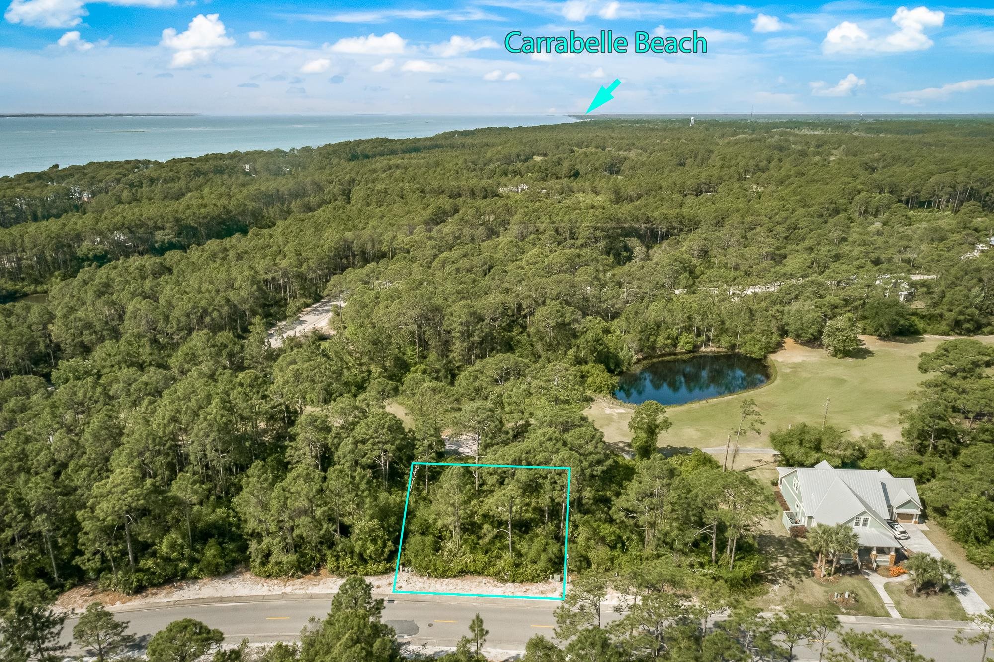 207 Royal Tern Way Carrabelle, FL 32322 - Photo 8 of 10