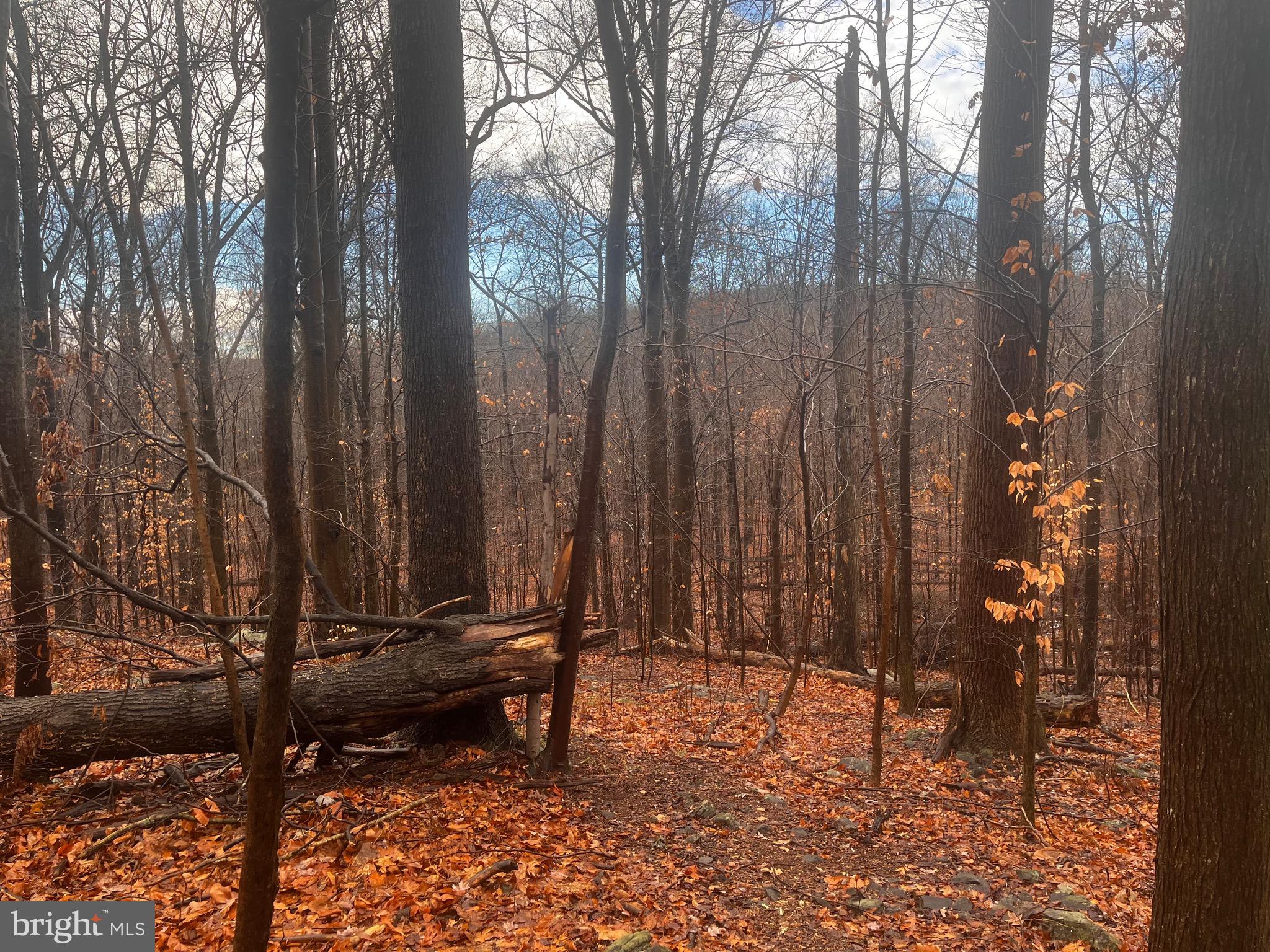 327 Hibernia Road Coatesville, PA 19320 - Photo 2 of 10