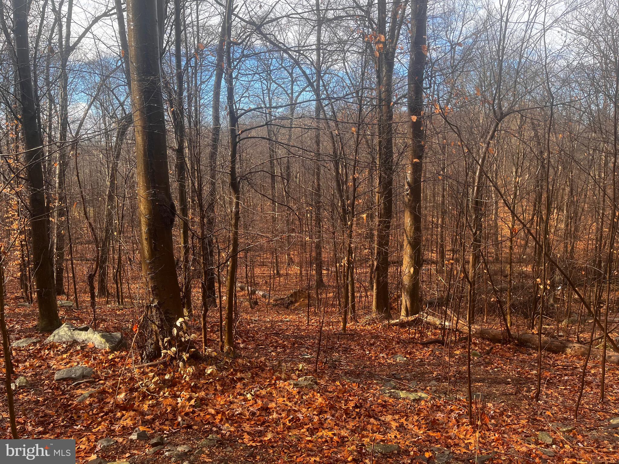 327 Hibernia Road Coatesville, PA 19320 - Photo 4 of 10